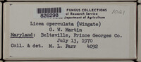 Image Associated With the Occurence